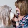 Beverley Cuddy - Editor Dogs Today magazine, Publisher Dogs Monthly magazine