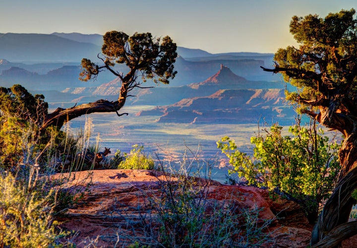 <p>Bears Ears National Monument, UT. Photo © Josh Ewing, courtesy Friends of Cedar Mesa.</p>