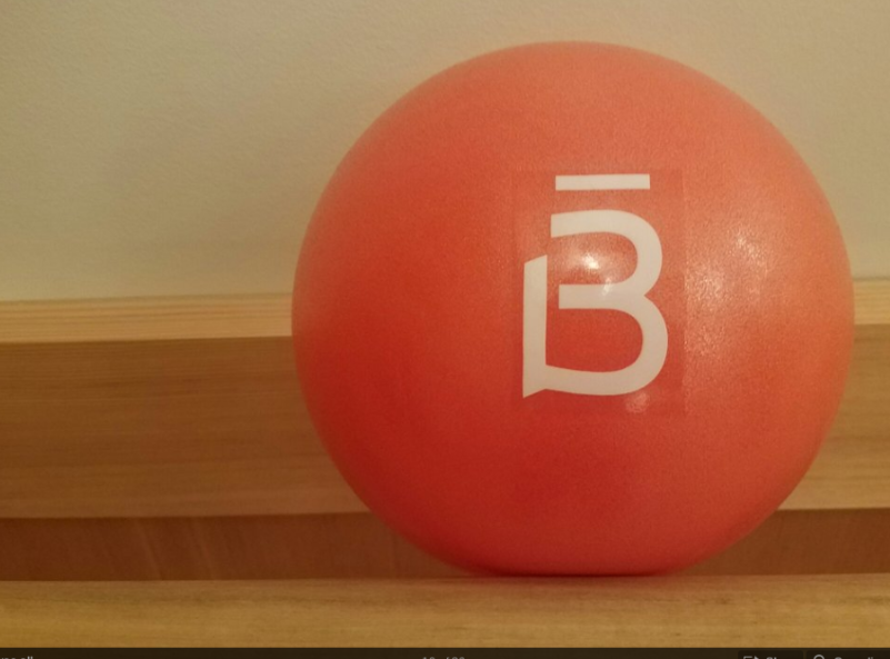 This is the 9 inch ball used for the killer core part of the workout.