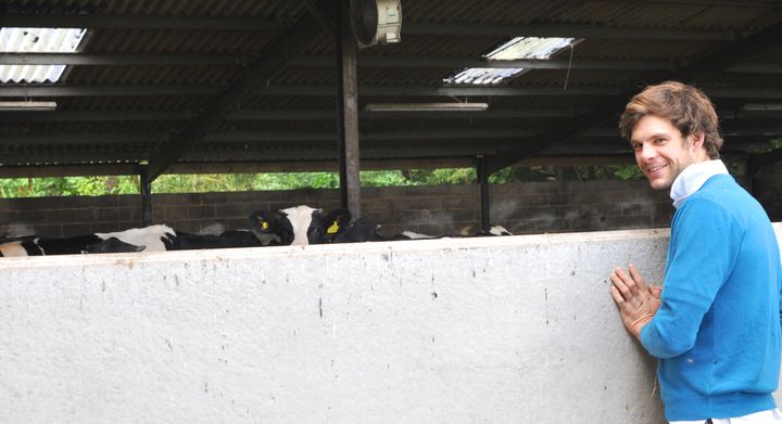 RSPCA Assured member Harry Street checks on his cattle