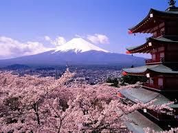 The Women’s Travel Group Goes to Japan in March 2018