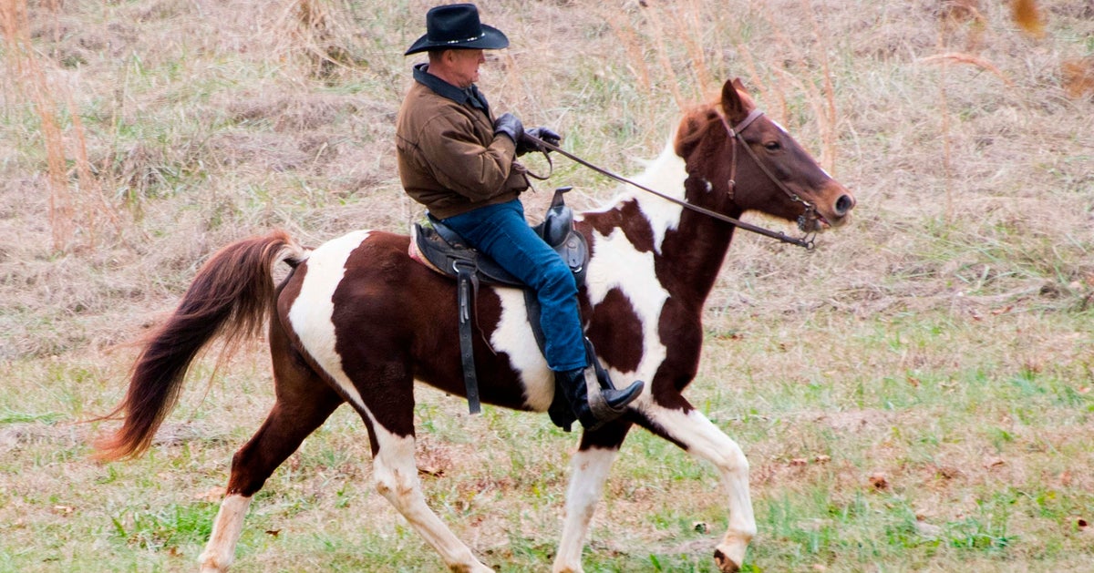 Roy Moore Rode In To Vote On A Horse Named 'Sassy' | HuffPost UK Politics