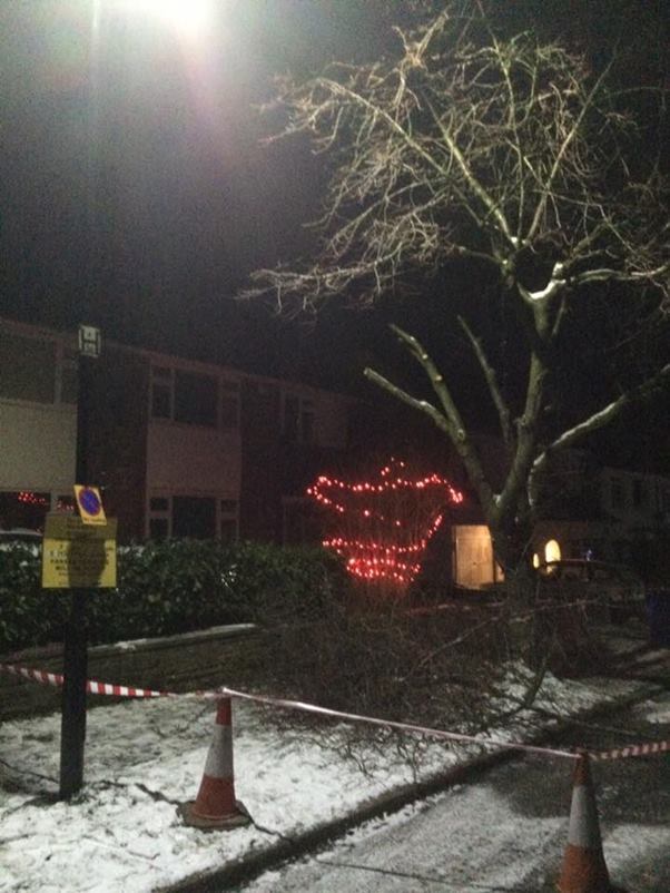 <p>Abbeydale Park Rise, after the pre-dawn attack</p>
