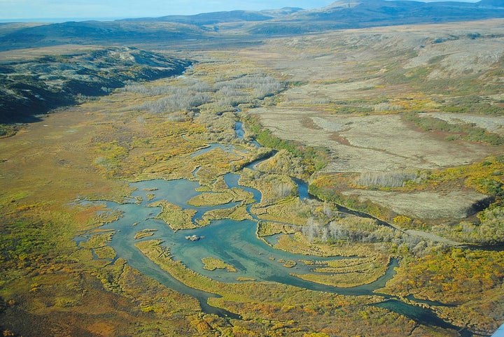 Environmentalists have warned the proposed Pebble Mine could devastate the sockeye salmon industry near Alaska's Bristol Bay.