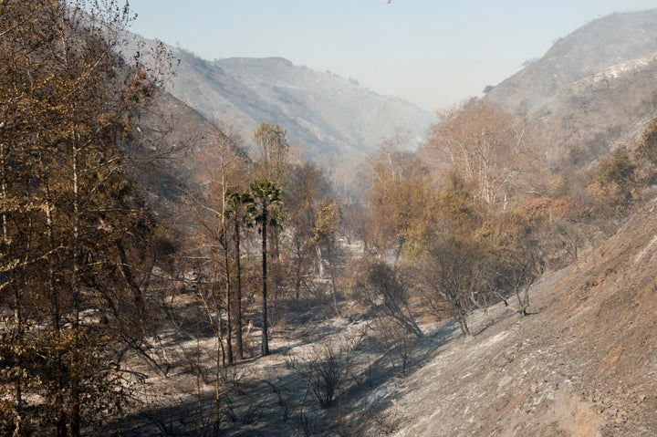 Smoke hangs over a canyon damaged by the Skirball fire near the Bel Air neighborhood on the west side of Los Angeles, California.