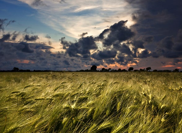 <p>The life principle you reap what you sow applies in every context </p>