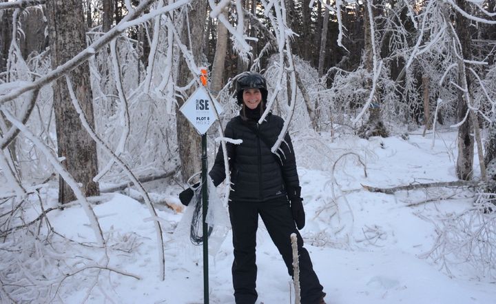 USDA Forest Service ecologist Lindsey Rustad creates ice storms to study their effects on forests. 