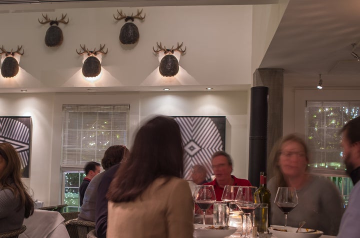 <p>Antlers hover over turtle shells at Yebo Ski Haus</p>