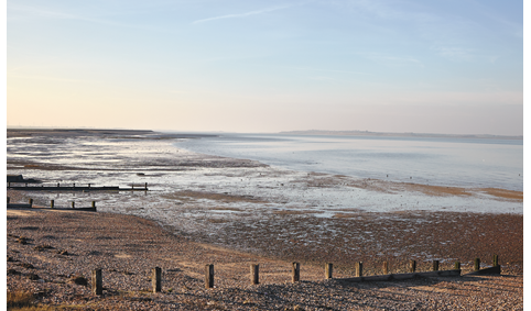 The coast of Kent, where chef Stephen Harris finds inspiration, along with seaweed, salt, and oysters