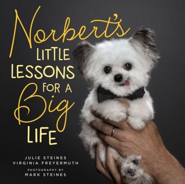 <p>NORBERT’S LITTLE LESSONS FOR A BIG LIFE</p>