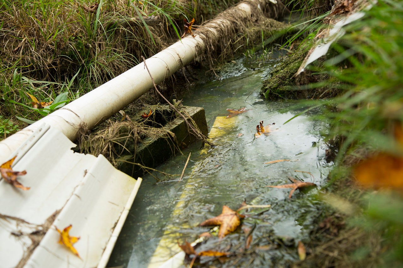 An open trench fills with rainwater and wastewater from the broken septic tank behind Joyce’s mobile home. Every couple of days, she pumps it out and disposes the waste in the nearby woods.