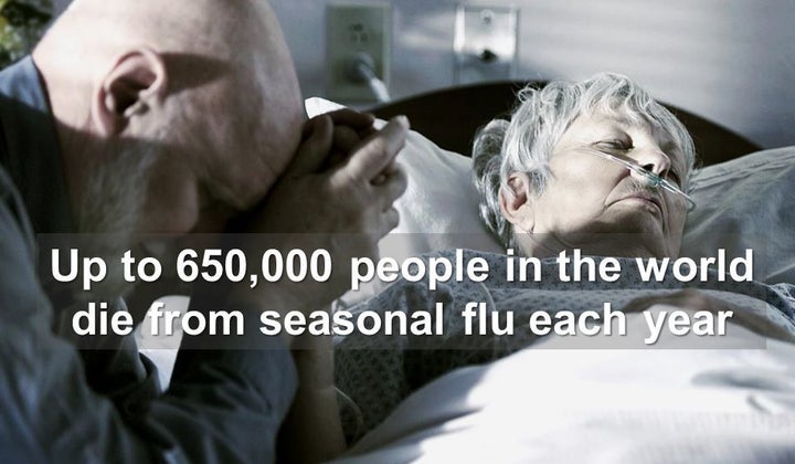 Up to 650,000 people in the world die from seasonal flu each year.