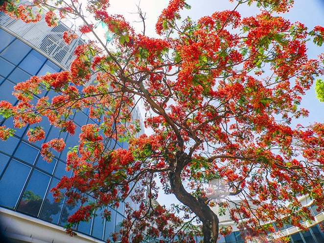 Victoria Park, Hong Kong