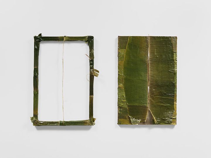 Naar, Onel. Colgão Diptych (2017) petrolatum on banana leaves, 3 x 5 feet
