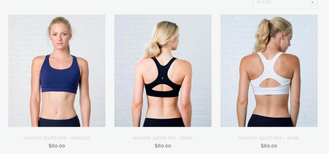 <p>Crane & Lion Sports Bra</p>