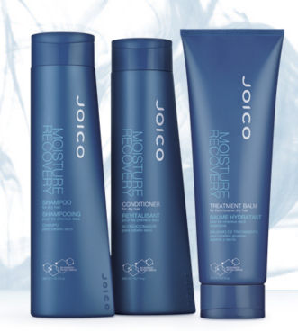 <p>Joico Moisture Recovery</p>