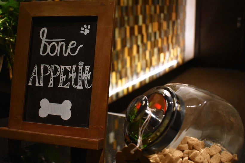 Dog-friendly Hotel Solamar