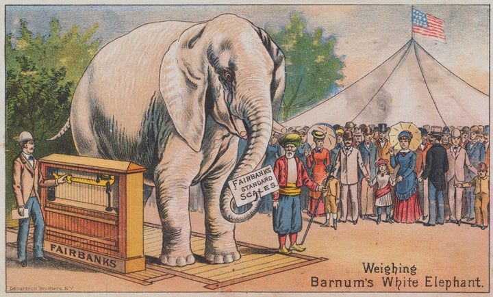 An advertisement featuring P.T. Barnum's white elephant, which he brought from Siam in 1884.