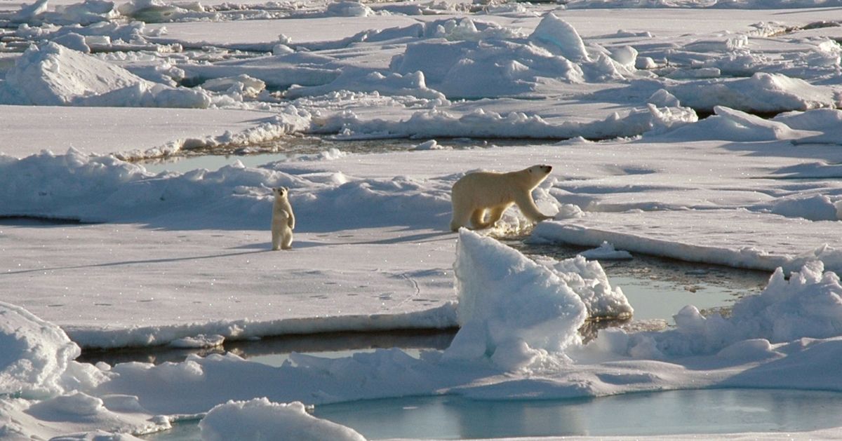 Северный полюс это. Море Бофорта Аляска. Arctic Tundra Alaska. Северный полюс. Северный полюс пейзаж.