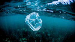 Plastik oder