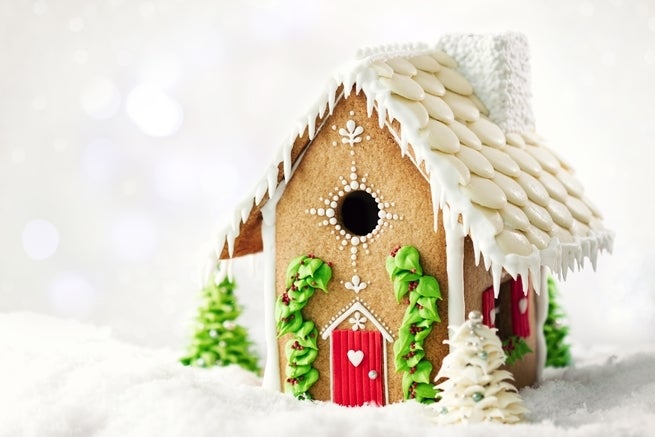 <p>The gingerbread house you think you'll make.</p>
