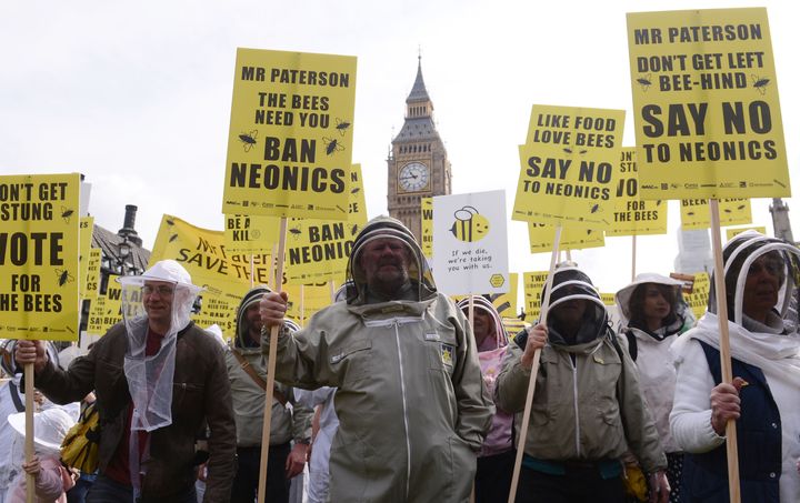 In 2013, former Environment Secretary Owen Paterson blocked a ban on pesticides harmful to bees
