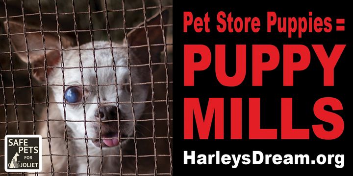 Image of 12 foot billboard in Joliet, Illinois, supplied by Harley’s Dream, designed to educate about the pet store / puppy mill connection