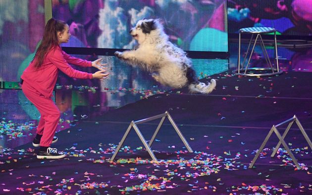 Alexa Lauenburger zeigte in der Show, welche beeindruckenden Kunststücke ihre acht Hunde aufführen können.