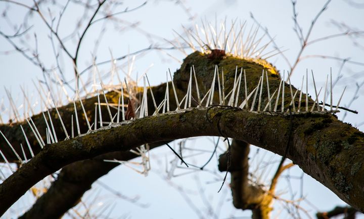 The spikes have prompted outrage 