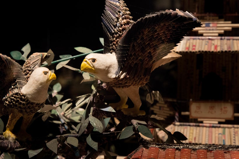 “Freedom Birds”