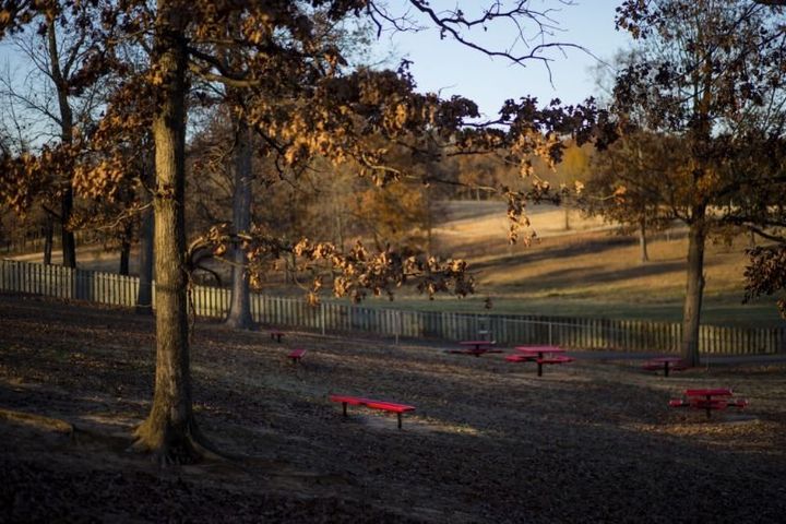 A view of the wooded area behind Westside Middle School in Jonesboro, Ark., where Mitchell Johnson and Andrew Golden shot and killed five people in 1998.