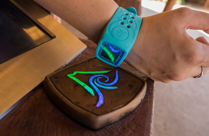 TapuTapu, a waterproof wristband, allows guests to virtually wait on line for rides and pay for meals, souvenirs and lockers.