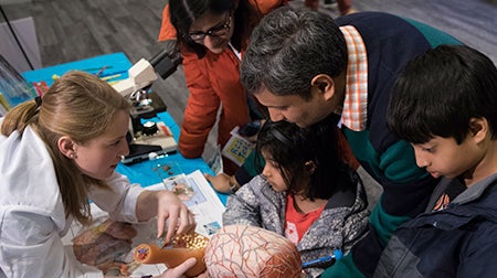 <p>Visitors at the Museum of Science in Boston enjoy learning about why Brains Matter</p>