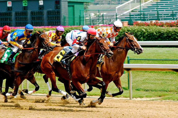  Thoroughbred horse racing at Churchill downs in Louisville, Kentucky [image source: Jeff Kubina via flickr] 