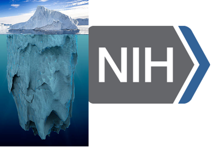 <p>The challenge of change at the NIH</p>