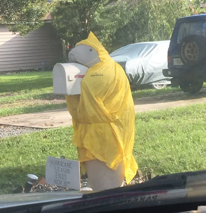 Mailbox manatee, The Wider Image