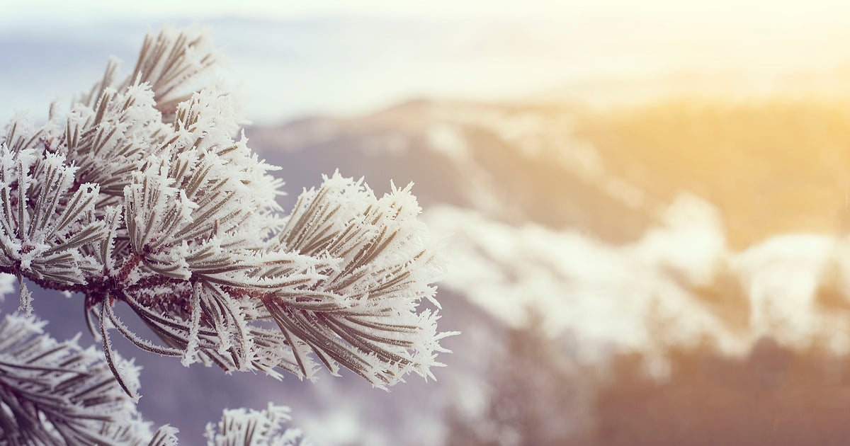 It Shouldn't Be 'Wrong' To Celebrate Christmas As A Muslim HuffPost