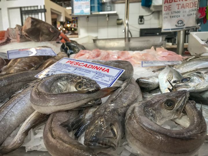<p>Fish market in Lisbon</p>