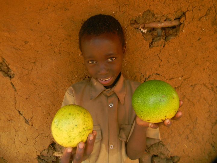 Young African primary school child holding monkey oranges.
