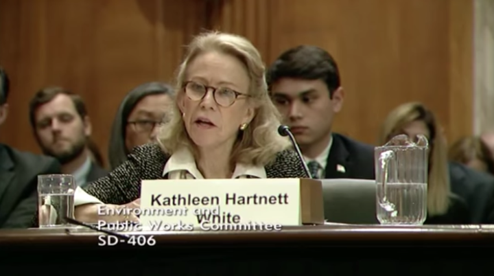 Kathleen Hartnett-White endured a humiliating confirmation hearing at which Democrats peppered her with questions that s