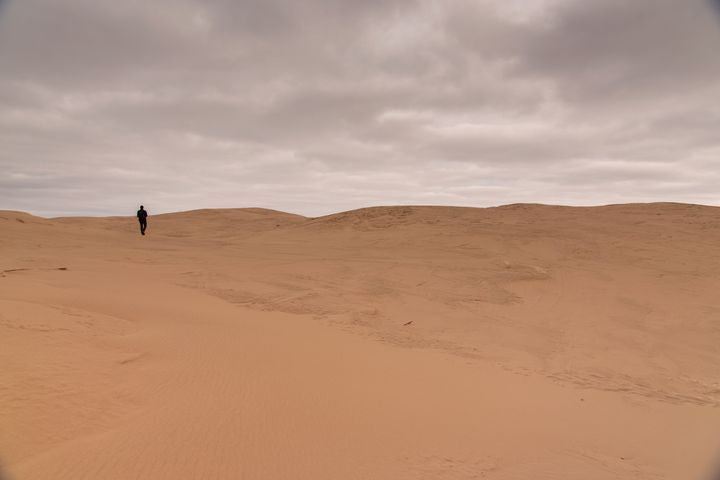 The seemingly never-ending expanse of sand dunes.