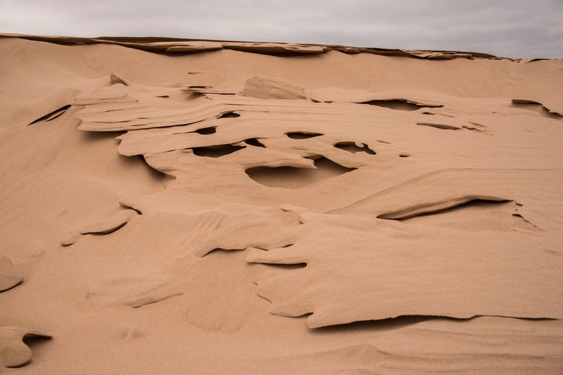 Thin lattice-like patterns in the sand.