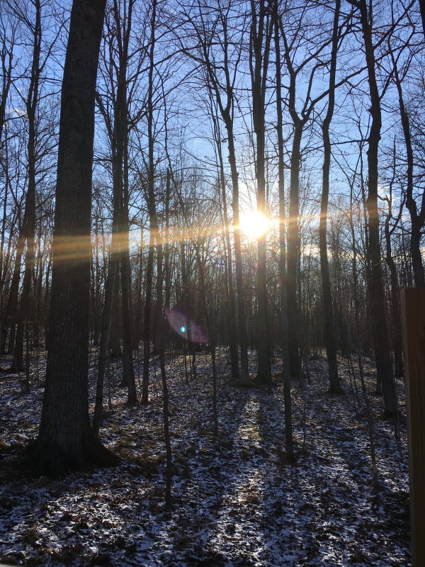 <em>A December morning at the Christine Center</em>