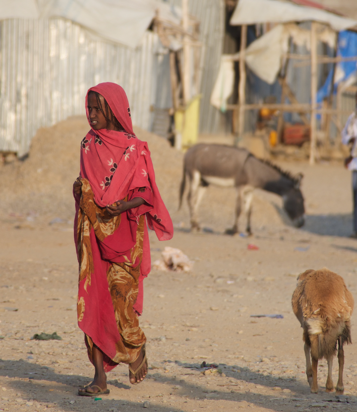 <p>An Afar woman walking through a village in the Danakil</p>