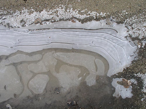 <strong>MELTING ICE</strong>