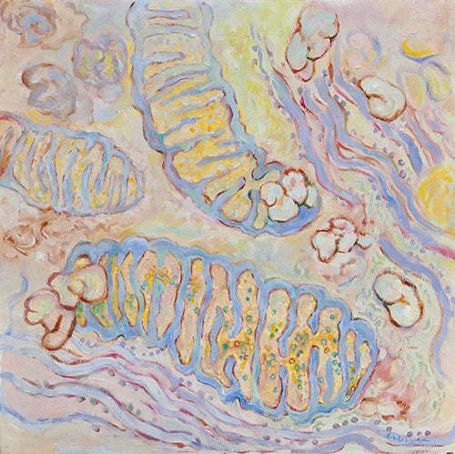 <strong>MITOCHONDRIA</strong>