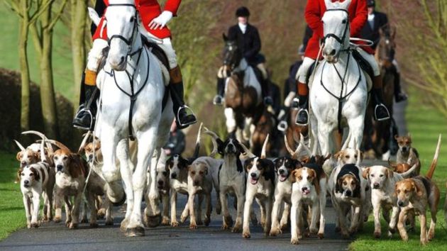 Theresa May Set To Abandon Free Vote Pledge On Fox Hunting - 