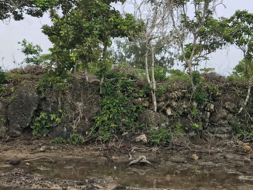 Pigeon Snaring Sia Mound at Pōpua, Tongatapu, Tonga. 2017