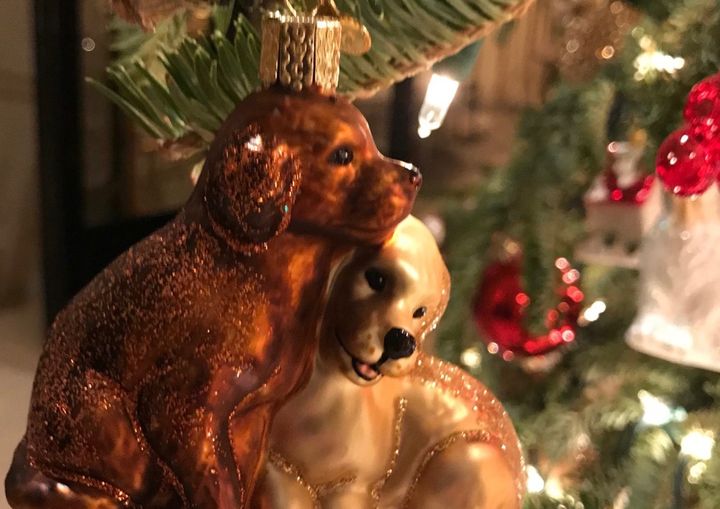 The kids loved my step-mother’s dog-themed Christmas ornaments this year. 