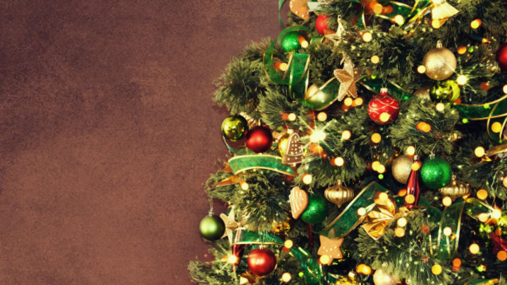 How To Dispose Of Your Christmas Tree Sustainably HuffPost UK Life